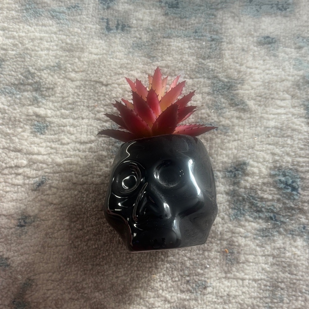 Target Black Skull Planter with Pink Faux Succulent